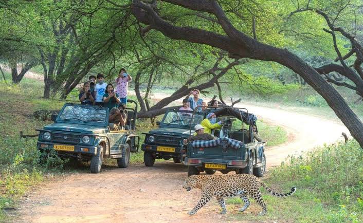 Leopard encounter at Jhalana Safari Park, AI generated