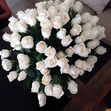 Stars Can T Shine Without Darkness Photo Pretty Flowers White Flowers Beautiful Flowers