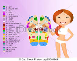 Foot Reflexology Chart