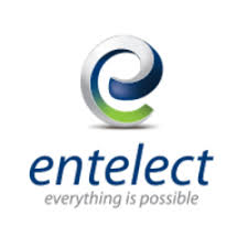 Average Entelect Salary In South Africa Payscale