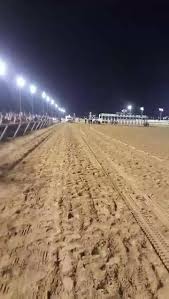 Retama park hosts camel and ostrich races. Camel Ostrich Races Held In San Antonio For Second Year Khou Com