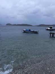 Hakan Kose 2015 Sogut Koyu Mavi Akvaryum Pansiyon Fotografia De Mavi Akvaryum Otel Sogut Tripadvisor