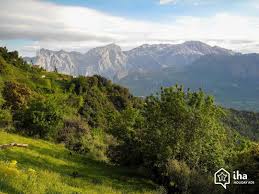 Below you find a lot of statistics for this team. Algeria Rentals In A Studio Flat For Your Vacations With Iha
