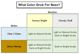 Fishing Grubs For Bass Guide With Tricks Tips To Catch