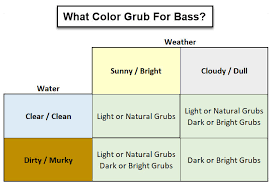 fishing grubs for bass guide with tricks tips to catch