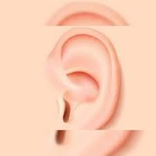 Second, from major organ systems to basic cellular components, our bodies will. How To Deal With Tinnitus The Ringing In Your Ears
