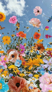 Flower Flowers Plants Botanical Floral Beautiful Wallpaper Background N In 2020 Flower Iphone Wallpaper Flower Background Wallpaper Cute Wallpaper Backgrounds