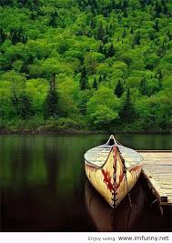 Amazing Nature Quotes. QuotesGram via Relatably.com