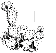 Maybe you would like to learn more about one of these? Https Laii Unm Edu Info K 12 Educators Assets Documents Mexican Revolution Complete Guide Pdf