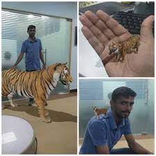 How To See Google 3d Animals And Objects List Updated Waftr Com