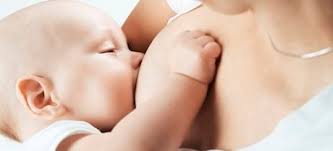 Manualidades de animales para niños. Leche Materna El Mejor Alimento Para Tu Bebe