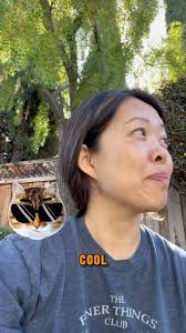 If I can’t show up imperfectly [+ incompletely]