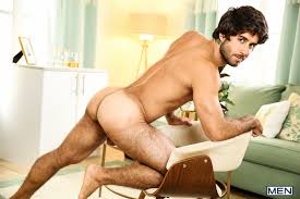 Hairy Hunky Diego Sans