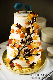 Experience the world of cake decorating like never before with cake central magazine! Fall Cake Decorations Fall Wedding Cake Recipe And Decoration Ideas Cake