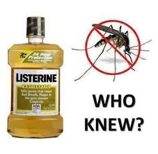 Listerine As A Mosquito Repellent Who Knew My Secret Weapon For Keeping Mosquitoes Away Listerine No I Don T Mosquito Mosquito Repellent Listerine