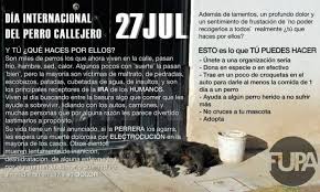 Un mundo con perros sí pero desde la responsabilidad. El Diario Dia Internacional Del Perro Callejero
