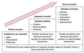 Pin By Marlene Corrales Acuna On Ejercicio Salud Chart Map