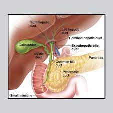 Pin On Health Articles Good And Bad