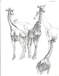 Black Sketch Book Scans41 Jpg 1700 2186 Animal Paintings Animal Sketches Animal Study