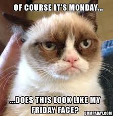 Tell Me Why I Don T Like Mondays Tell Me Why I Don T Like Mondays Grumpy Cat Humor Angry Cat Grumpy Cat