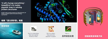 强化学习创新创意大赛- 南栖仙策