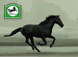 1976 new zealand tv commercial for the national bank. The National Bank Page 4 Interest Co Nz