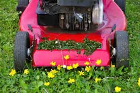 We did not find results for: How To Make A Lawn Mower Quieter A Quiet Refuge