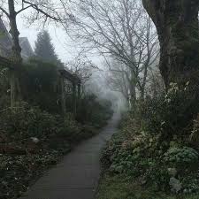 Pin By Mckenziemusgrove On Dark Academia Dark Aesthetic Nature Aesthetic Slytherin Aesthetic