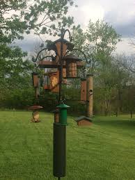 Bird Feeder Pole System As A Proud Wbu Employee I Can Honestly Say That My Aps Has Become A Complete Monster Backyard Birds Bird Feeder Station Wild Birds Unlimited