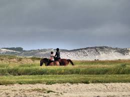 Contrat de vente d'un cheval. Couverture De L Article Etre Proprietaire De Son Cheval Nos Premiers Conseils Etre Proprietaire De Son Cheval Lienard Olivier 12 Juin 2019 2202 Etre Proprietaire C Est Le Reve De Tous Cavaliers Mais D Un Point De Vue Purement Legal Etre Proprietaire Qu Est Ce