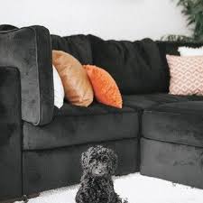 Lovesac Sactionals Modular Sectionals Lovesac In 2020 Sectional Sactional Modular Sectional Sofa