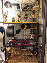 Made the video to help others looking to do a diy cage that is customizable, cost efficient, and enjoyable for their pets. Diy Chinchilla Cage Accessories Online