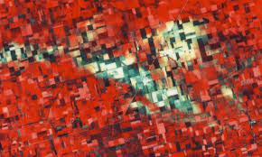 Image result for tbn:SQJ1tCP2zcLTgM::www.cbc.ca/news/background/toronto-bomb-plot/gfx/raza-060605.jpg