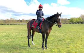 The one-handed jockey who may have found a way to ride with the best