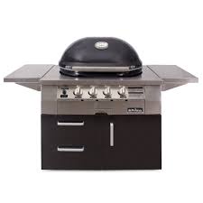 Remote receiver can be located inside for monitoring. Primo Ceramic Grills Marken Grill Experte