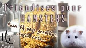 Tuto Friandises Pour Hamster Souris Gerbilles Rats Youtube