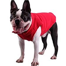 My dog has a cold what can i give him. Ducomi Polardog Soft Warm Fleece Dog Vest For Small And Medium Dogs For Cold Winter Days Easy To Wear Embedded Lead Hook Amazon De Pet Supplies