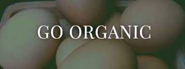 Glenwild Gardens Center Nursery Organic Lawn Care Organic Lawn Natural Garden