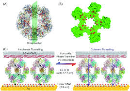 See more of tan peng sam & co. Switching Of The Mechanism Of Charge Transport Induced By Phase Transitions In Tunnel Junctions With Large Biomolecular Cages Journal Of Materials Chemistry C Rsc Publishing Doi 10 1039 D0tc05773h