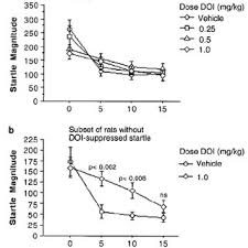 Pamela P Auerbach's research works