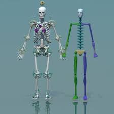 3d Model Human Skeleton Combine With Biped Human Skeleton Human 3d Model