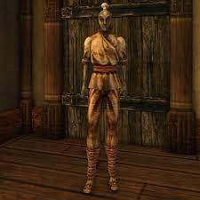 Morrowind:Nerevarine - The Unofficial Elder Scrolls Pages (UESP)