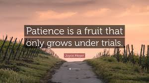 Famous joyce meyer quote about patience. Joyce Meyer Quote Patience Is A Fruit That Only Grows Under Trials