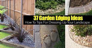 37 Garden Border Ideas To Dress Up Your Landscape Edging