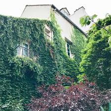 France relance dans la marne. Disney Paris And The Rer Line A It S The Suburb Of Val De Marne Join Us East Of Paris As We Look At Lif Visit Paris France Photography Departments Of France