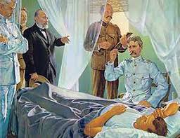 Image result for Yellow Fever