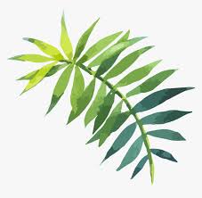 In totday's watercolor painting tutorial, i made a simple, easy and quick palm trees leaves sunset scene. Twig Vector Curry Leaf Watercolor Tropical Leaves Png Transparent Png Kindpng