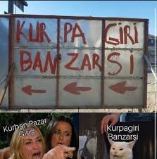 Bende Kedi Gibi Okudum D 2020 Komik Seyler Komik Capsler Komik Goruntuler