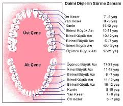 bebeklerde dis cikarma cocuklu dunya