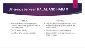 Visit for binance staking haram.binance staking haram: Definition Of Halal Haram Youtube Cute766